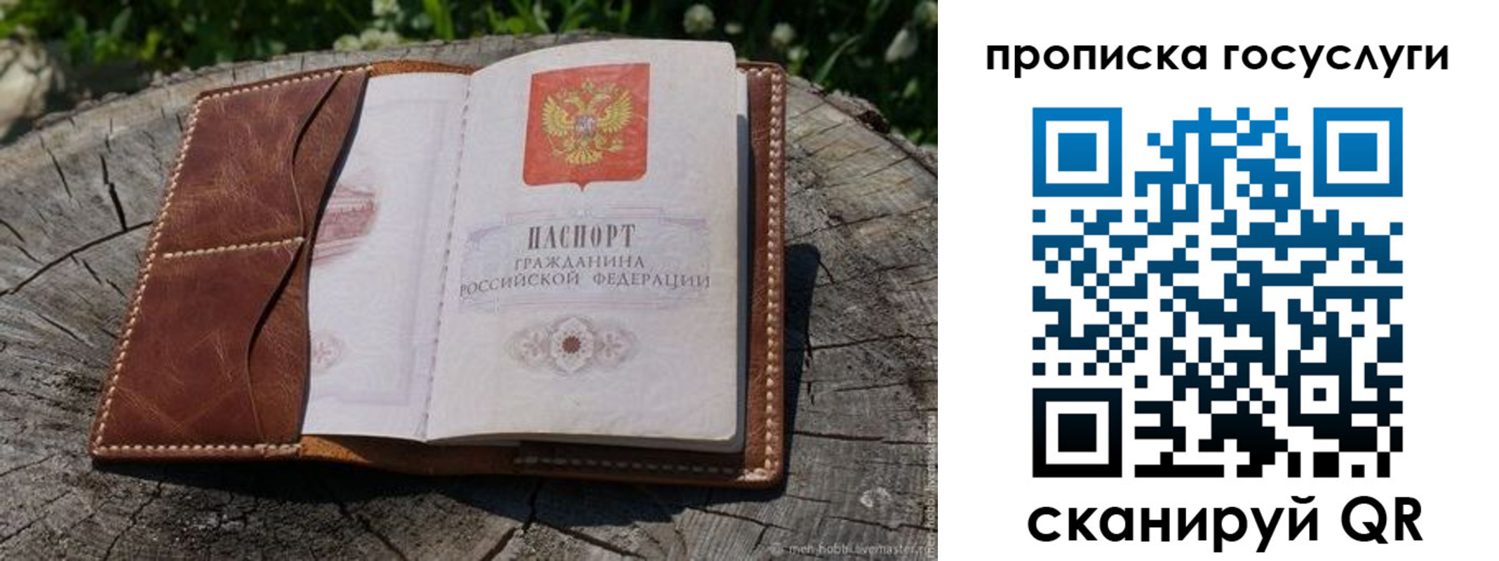 прописка для школы в Людиново